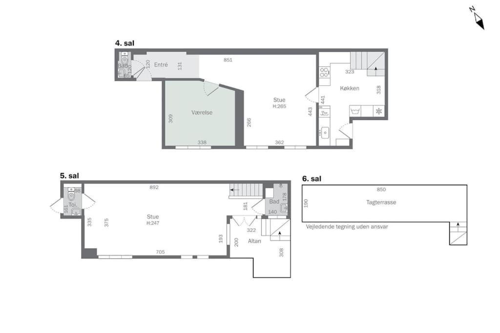Central Penthouse Apartment With Rooftop Terrace 哥本哈根 外观 照片